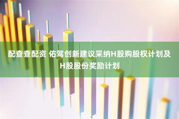 配查查配资 佑驾创新建议采纳H股购股权计划及H股股份奖励计划